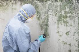 Mold Remediation for Vacation Homes in Addison, IL